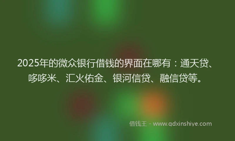 2025年的微众银行借钱的界面在哪有：通天贷、哆哆米、汇火佑金、银河信贷、融信贷等。