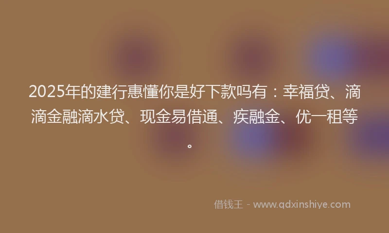 2025年的建行惠懂你是好下款吗有：幸福贷、滴滴金融滴水贷、现金易借通、疾融金、优一租等。