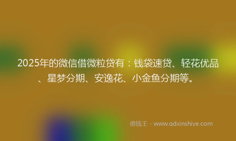 2025年的微信借微粒贷有：钱袋速贷、轻花优品、星梦分期、安逸花、小金鱼分期等。
