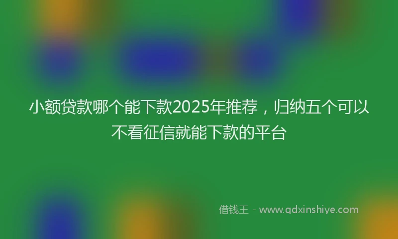 小额贷款哪个能下款2025年推荐，归纳五个可以不看征信就能下款的平台
