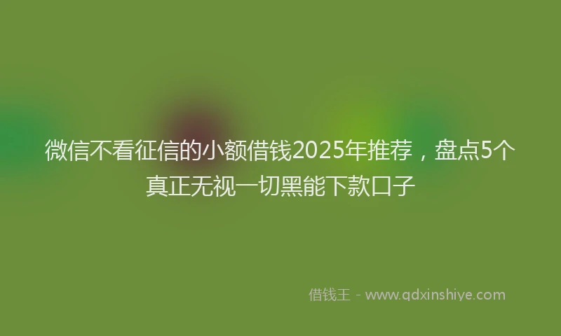 微信不看征信的小额借钱2025年推荐，盘点5个真正无视一切黑能下款口子
