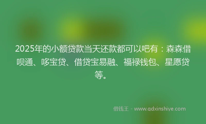 2025年的小额贷款当天还款都可以吧有：森森借呗通、哆宝贷、借贷宝易融、福禄钱包、星愿贷等。