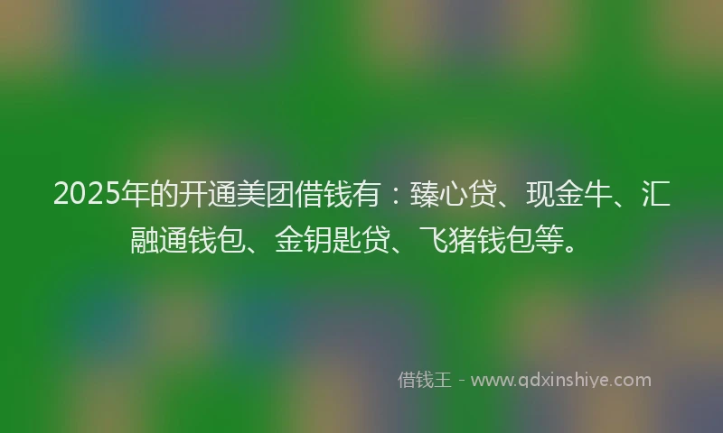 2025年的开通美团借钱有：臻心贷、现金牛、汇融通钱包、金钥匙贷、飞猪钱包等。