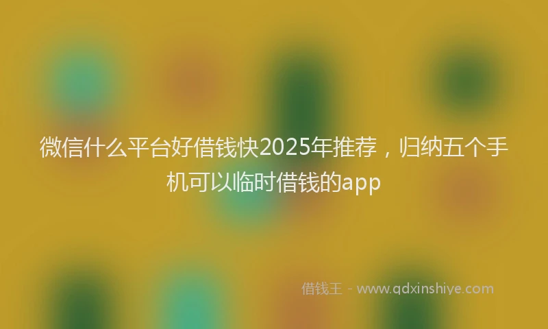 微信什么平台好借钱快2025年推荐，归纳五个手机可以临时借钱的app