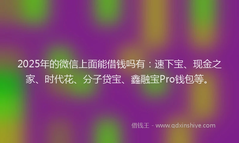 2025年的微信上面能借钱吗有：速下宝、现金之家、时代花、分子贷宝、鑫融宝Pro钱包等。