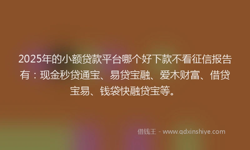 2025年的小额贷款平台哪个好下款不看征信报告有：现金秒贷通宝、易贷宝融、爱木财富、借贷宝易、钱袋快融贷宝等。