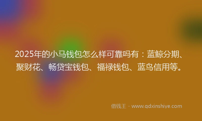 2025年的小马钱包怎么样可靠吗有：蓝鲸分期、聚财花、畅贷宝钱包、福禄钱包、蓝鸟信用等。