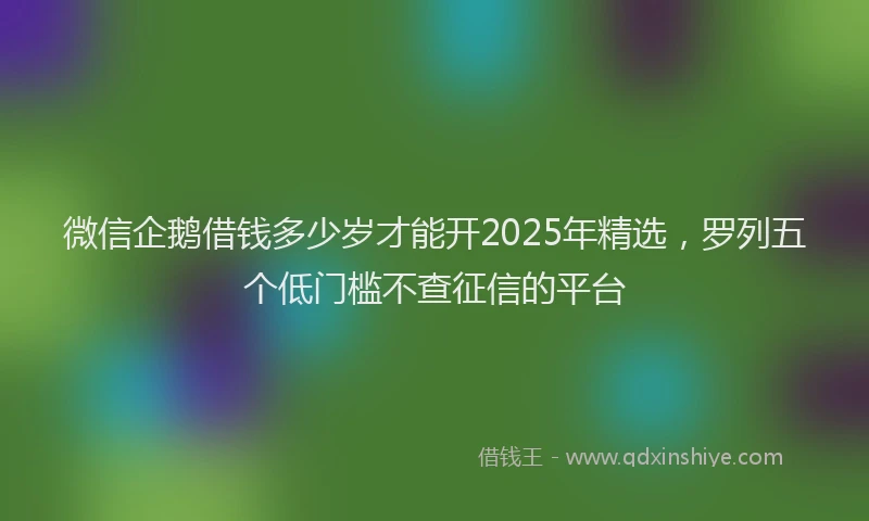 微信企鹅借钱多少岁才能开2025年精选，罗列五个低门槛不查征信的平台