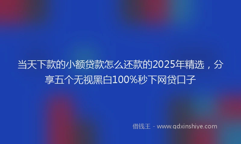 当天下款的小额贷款怎么还款的2025年精选，分享五个无视黑白100%秒下网贷口子
