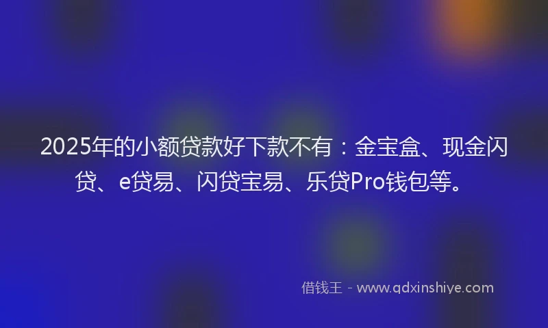 2025年的小额贷款好下款不有：金宝盒、现金闪贷、e贷易、闪贷宝易、乐贷Pro钱包等。