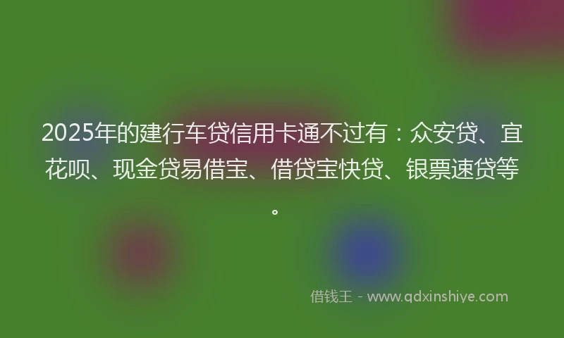 2025年的建行车贷信用卡通不过有：众安贷、宜花呗、现金贷易借宝、借贷宝快贷、银票速贷等。