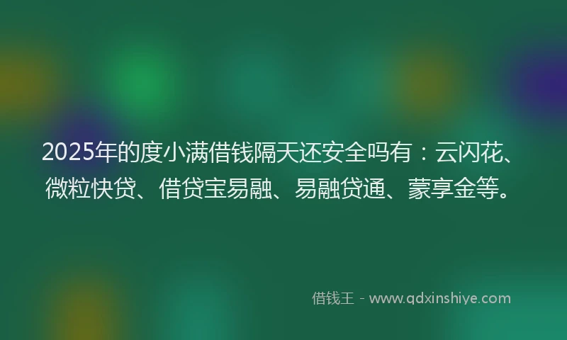 2025年的度小满借钱隔天还安全吗有：云闪花、微粒快贷、借贷宝易融、易融贷通、蒙享金等。