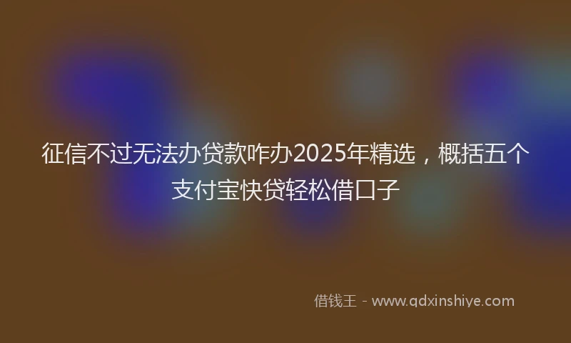 征信不过无法办贷款咋办2025年精选，概括五个支付宝快贷轻松借口子