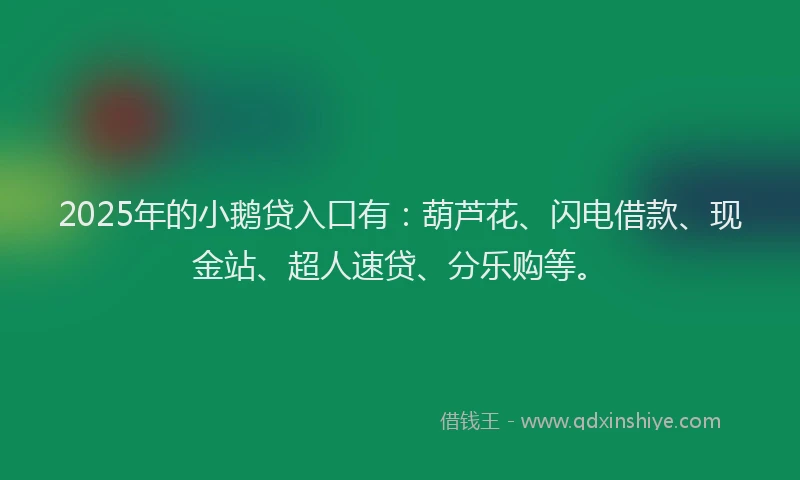 2025年的小鹅贷入口有：葫芦花、闪电借款、现金站、超人速贷、分乐购等。