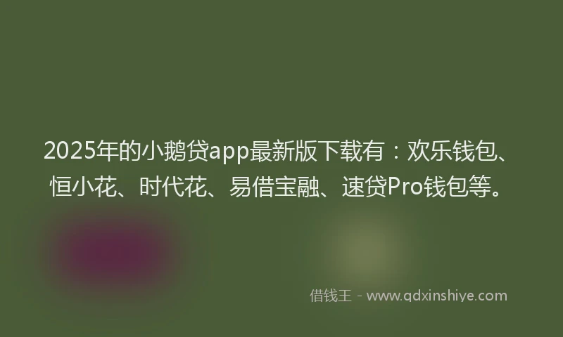 2025年的小鹅贷app最新版下载有：欢乐钱包、恒小花、时代花、易借宝融、速贷Pro钱包等。