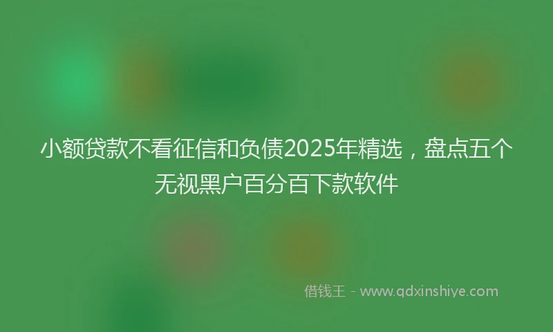 小额贷款不看征信和负债2025年精选，盘点五个无视黑户百分百下款软件