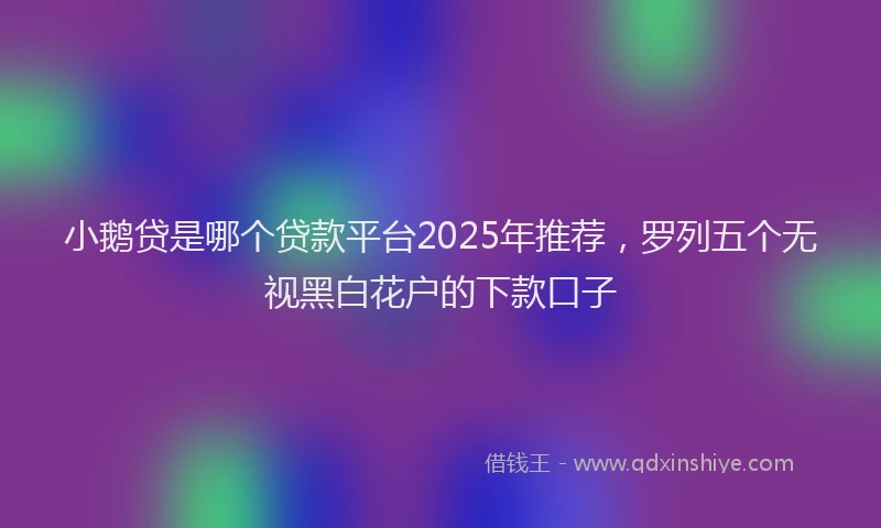 小鹅贷是哪个贷款平台2025年推荐，罗列五个无视黑白花户的下款口子