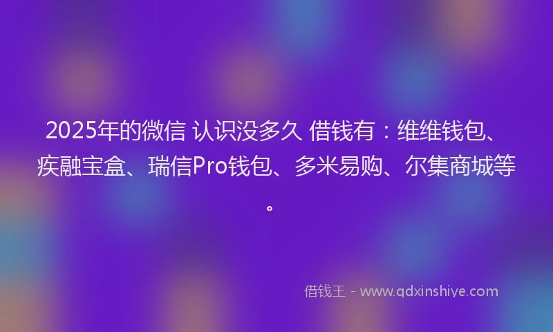 2025年的微信 认识没多久 借钱有：维维钱包、疾融宝盒、瑞信Pro钱包、多米易购、尔集商城等。