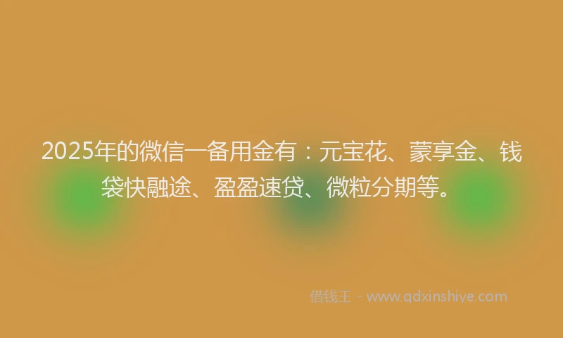 2025年的微信一备用金有：元宝花、蒙享金、钱袋快融途、盈盈速贷、微粒分期等。