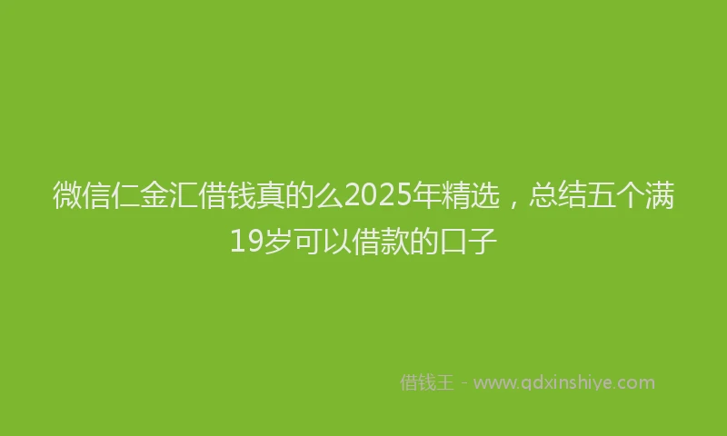 微信仁金汇借钱真的么2025年精选，总结五个满19岁可以借款的口子