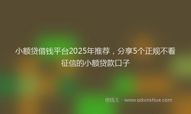 小额贷借钱平台2025年推荐，分享5个正规不看征信的小额贷款口子