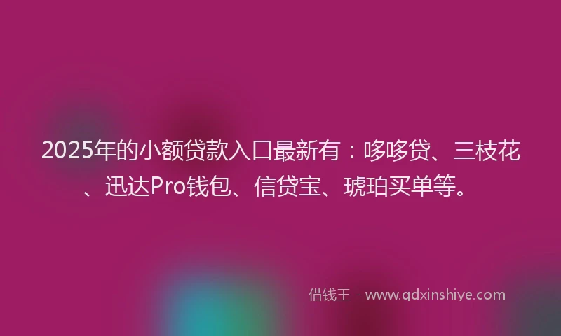 2025年的小额贷款入口最新有：哆哆贷、三枝花、迅达Pro钱包、信贷宝、琥珀买单等。