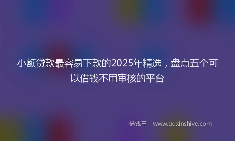小额贷款最容易下款的2025年精选，盘点五个可以借钱不用审核的平台
