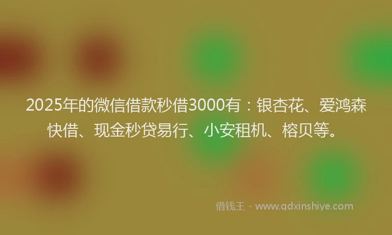 2025年的微信借款秒借3000有：银杏花、爱鸿森快借、现金秒贷易行、小安租机、榕贝等。