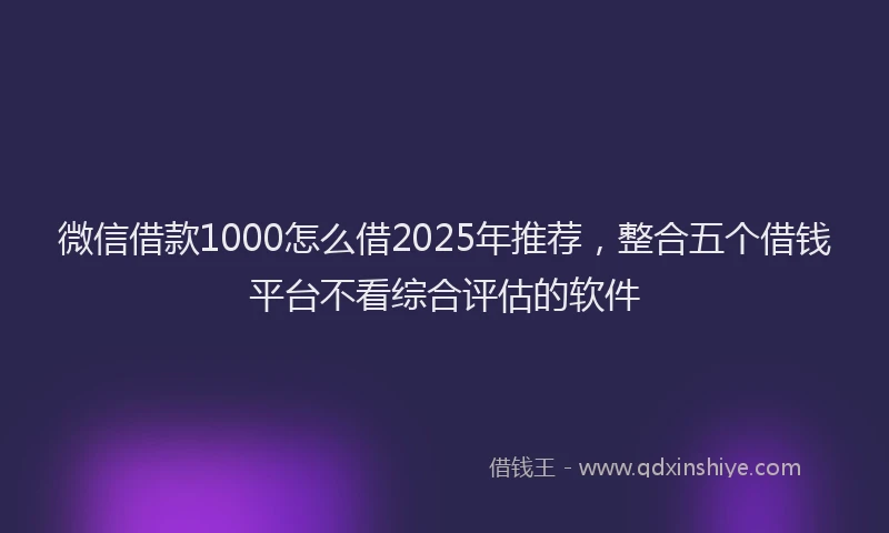 微信借款1000怎么借2025年推荐，整合五个借钱平台不看综合评估的软件