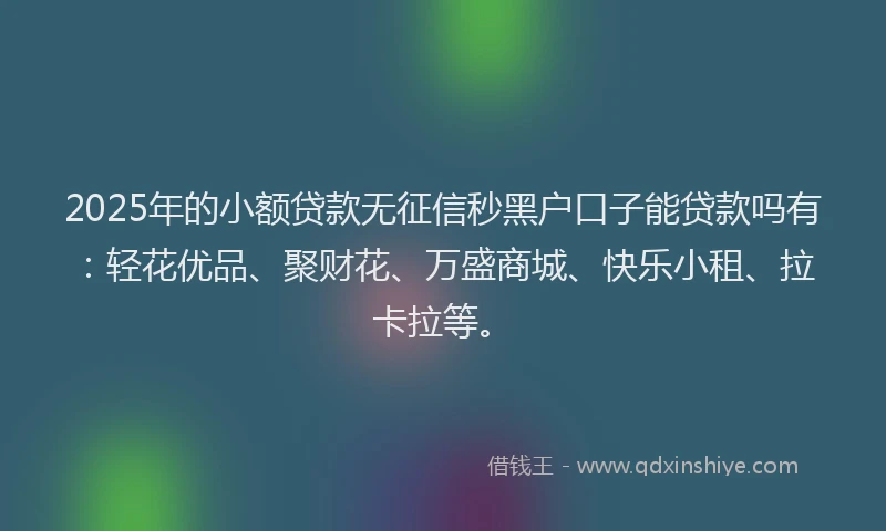 2025年的小额贷款无征信秒黑户口子能贷款吗有：轻花优品、聚财花、万盛商城、快乐小租、拉卡拉等。
