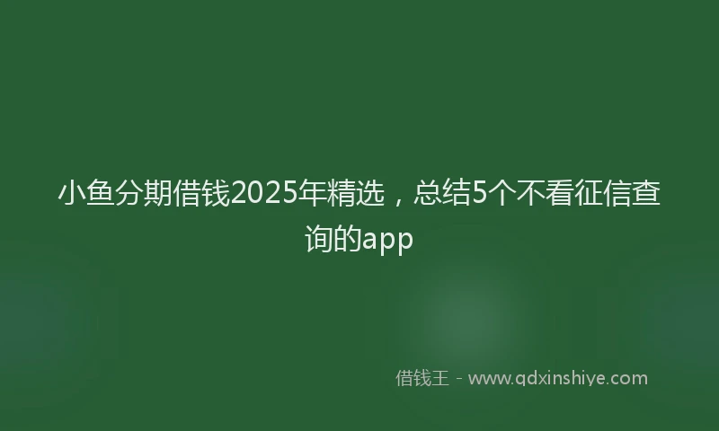 小鱼分期借钱2025年精选，总结5个不看征信查询的app