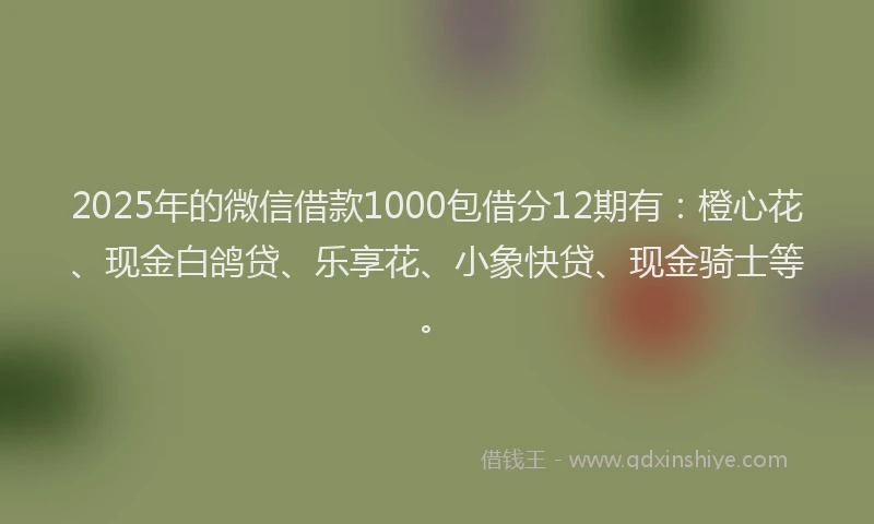 2025年的微信借款1000包借分12期有：橙心花、现金白鸽贷、乐享花、小象快贷、现金骑士等。