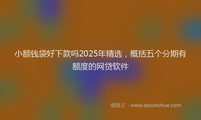 小额钱袋好下款吗2025年精选，概括五个分期有额度的网贷软件
