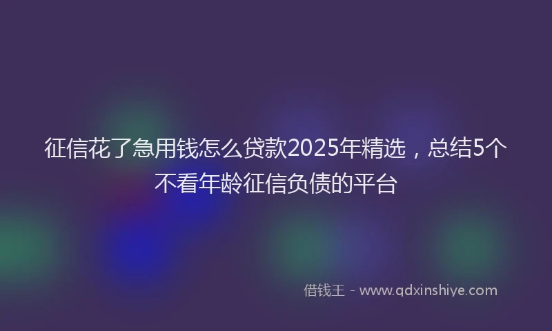 征信花了急用钱怎么贷款2025年精选，总结5个不看年龄征信负债的平台