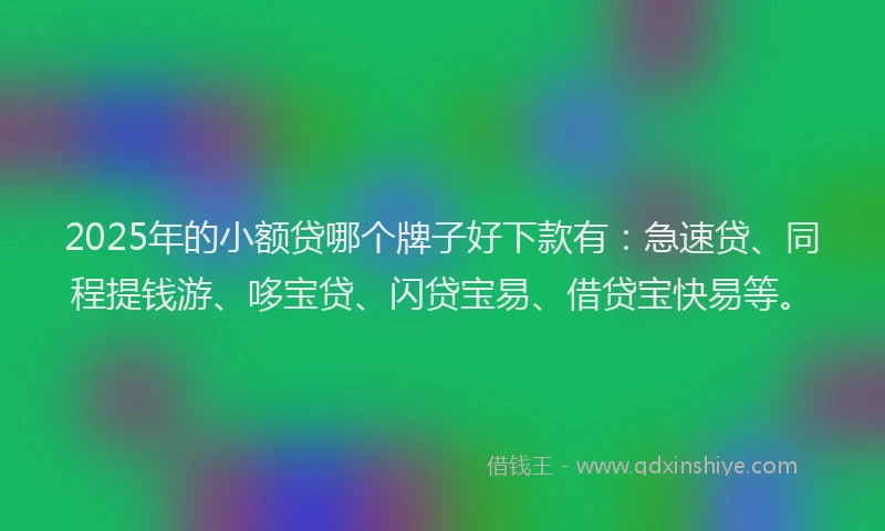 2025年的小额贷哪个牌子好下款有：急速贷、同程提钱游、哆宝贷、闪贷宝易、借贷宝快易等。