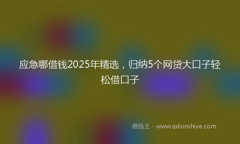 应急哪借钱2025年精选，归纳5个网贷大口子轻松借口子