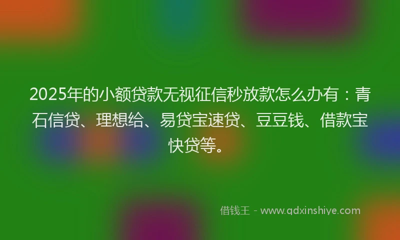 2025年的小额贷款无视征信秒放款怎么办有：青石信贷、理想给、易贷宝速贷、豆豆钱、借款宝快贷等。