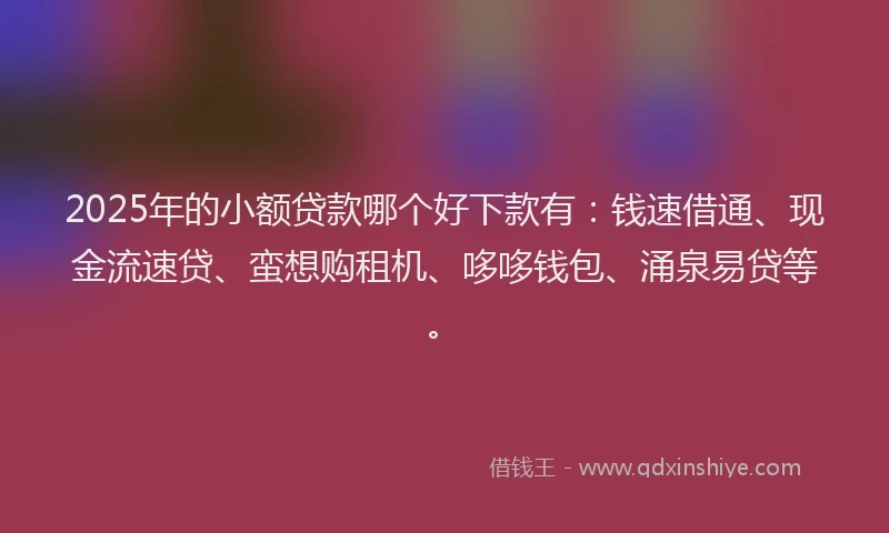 2025年的小额贷款哪个好下款有：钱速借通、现金流速贷、蛮想购租机、哆哆钱包、涌泉易贷等。