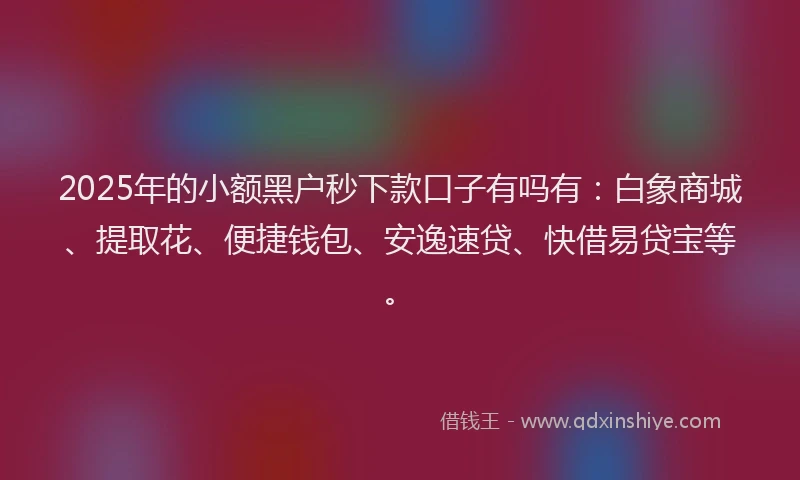 2025年的小额黑户秒下款口子有吗有：白象商城、提取花、便捷钱包、安逸速贷、快借易贷宝等。