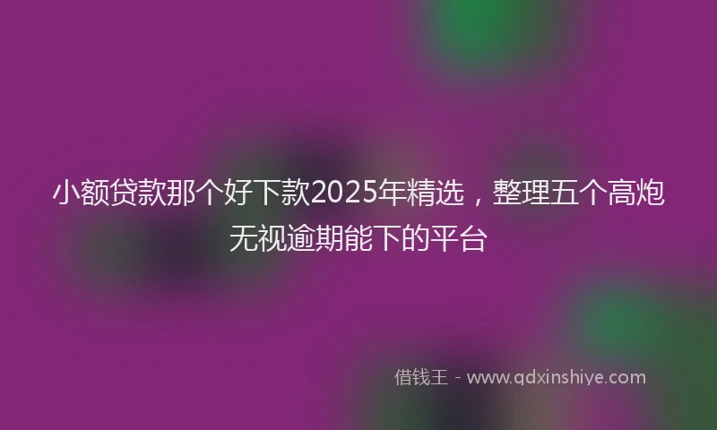 小额贷款那个好下款2025年精选，整理五个高炮无视逾期能下的平台