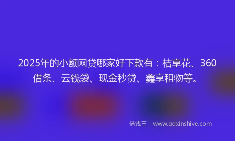 2025年的小额网贷哪家好下款有：桔享花、360借条、云钱袋、现金秒贷、鑫享租物等。