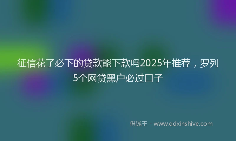 征信花了必下的贷款能下款吗2025年推荐，罗列5个网贷黑户必过口子
