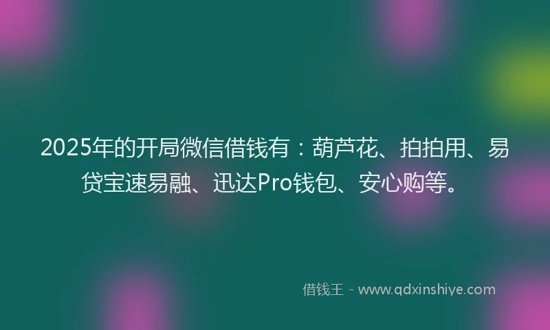 2025年的开局微信借钱有：葫芦花、拍拍用、易贷宝速易融、迅达Pro钱包、安心购等。