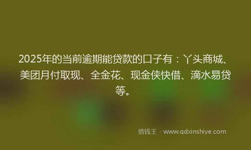 2025年的当前逾期能贷款的口子有：丫头商城、美团月付取现、全金花、现金侠快借、滴水易贷等。