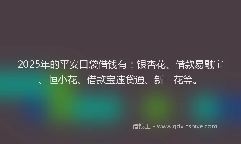 2025年的平安口袋借钱有：银杏花、借款易融宝、恒小花、借款宝速贷通、新一花等。