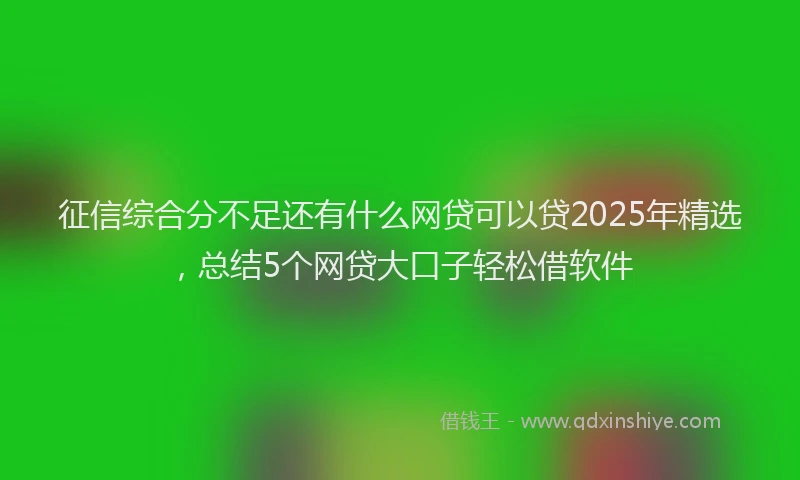 征信综合分不足还有什么网贷可以贷2025年精选，总结5个网贷大口子轻松借软件