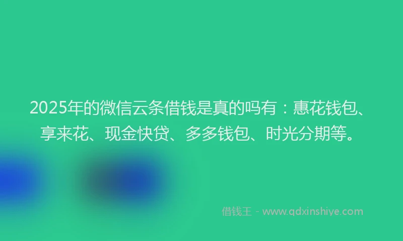 2025年的微信云条借钱是真的吗有：惠花钱包、享来花、现金快贷、多多钱包、时光分期等。