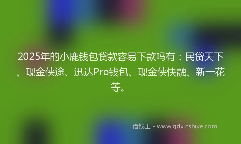 2025年的小鹿钱包贷款容易下款吗有：民贷天下、现金侠途、迅达Pro钱包、现金侠快融、新一花等。