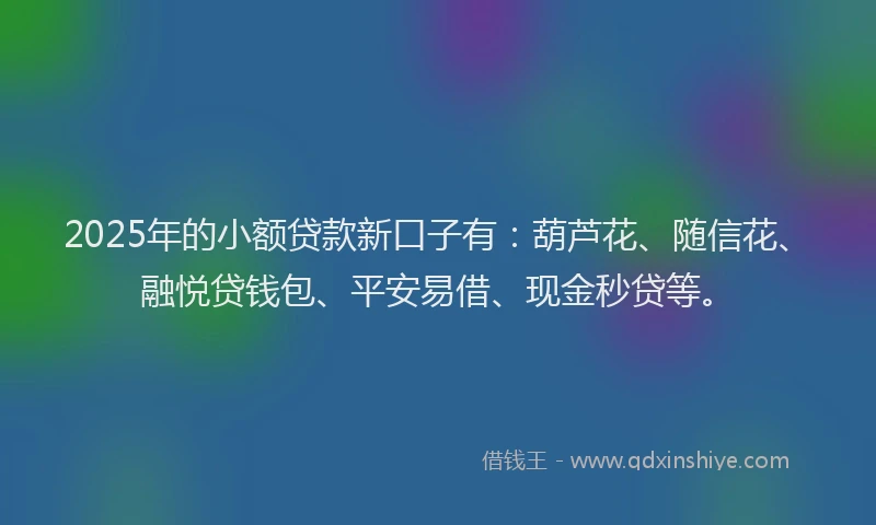 2025年的小额贷款新口子有：葫芦花、随信花、融悦贷钱包、平安易借、现金秒贷等。