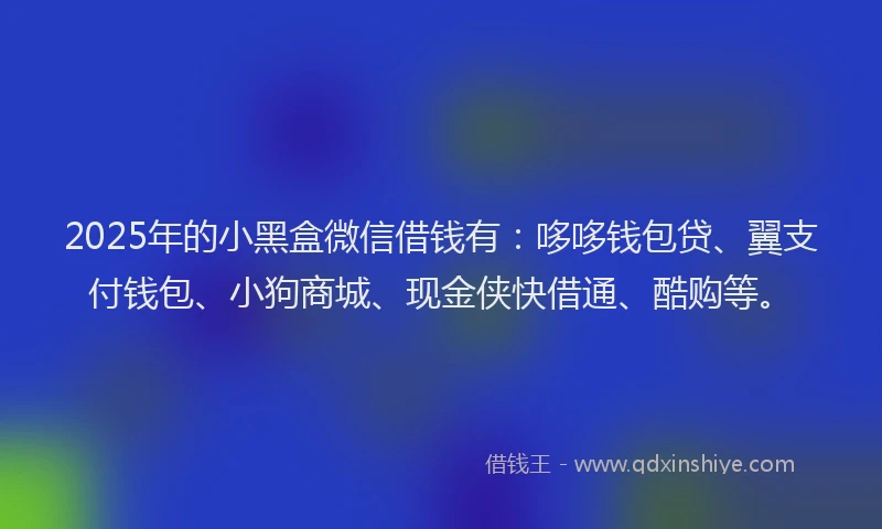 2025年的小黑盒微信借钱有：哆哆钱包贷、翼支付钱包、小狗商城、现金侠快借通、酷购等。